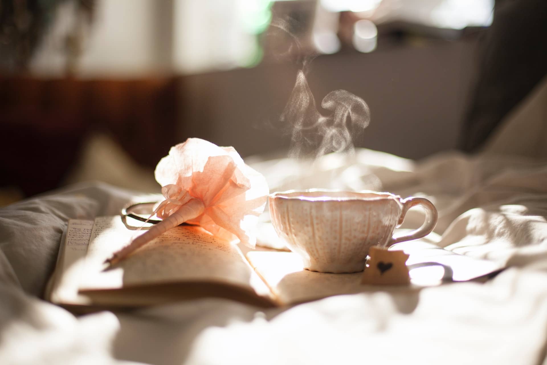 Leia mais sobre o artigo Conheça as 5 razões para tomar chá de Rosas